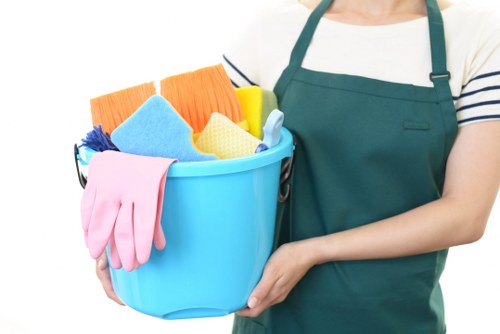 Carpet cleaning service for homes in W1S