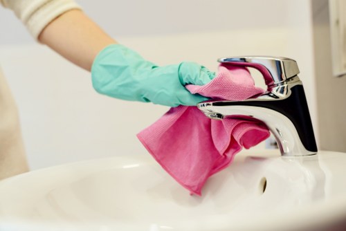Local cleaner service in W1S for homes and businesses