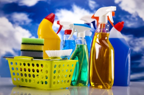 Deep cleaning service for a W1S kitchen and living area
