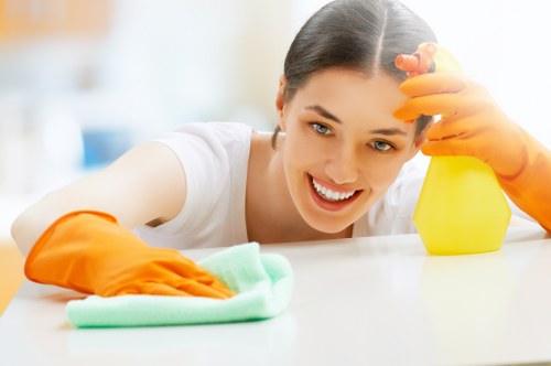 Cleaning checklist and move-out preparation for properties in W1S