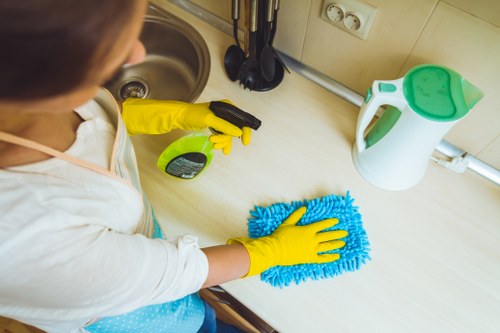 Cleaning trays, racks, and oven interior during an oven cleaning appointment