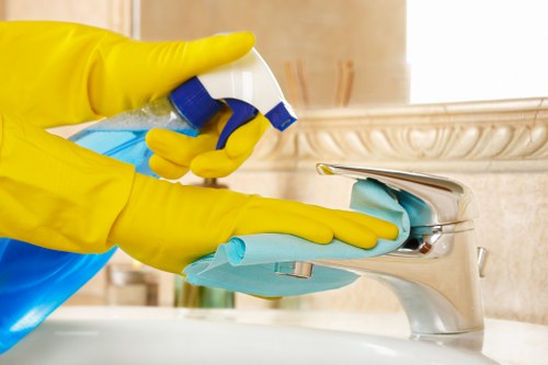 Deep cleaning support for homes and apartments in W1S