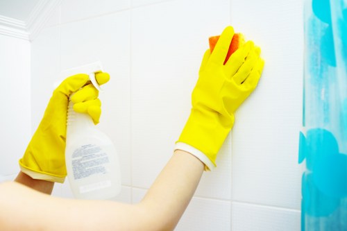 Local exterior cleaning service for brick and stone facades in W1S