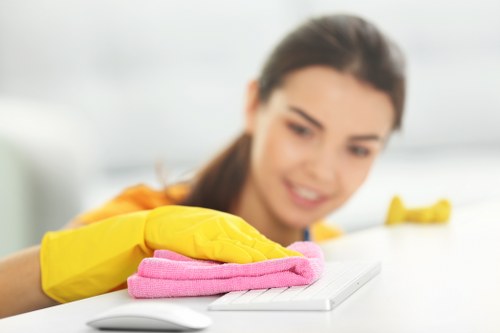 Oven cleaning service for residential and commercial properties in W1S