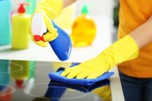 Regular office cleaning for a professional business premises in W1S
