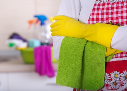Stain treatment and carpet care in a W1S apartment
