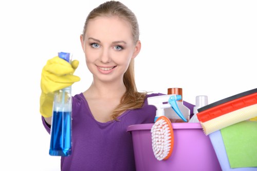 Accessibility request support for Carpetcleaning W1S users